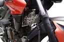 PROTECTOR RADIADOR BAJAJ PULSAR 200NS 3