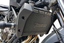 PROTECTOR RADIADOR YAMAHA MT07 2