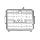 PROTECTOR RADIADOR BENELLI BN302 Y TNT 300