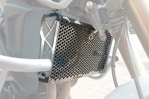 PROTECTOR RADIADOR BMW F800R